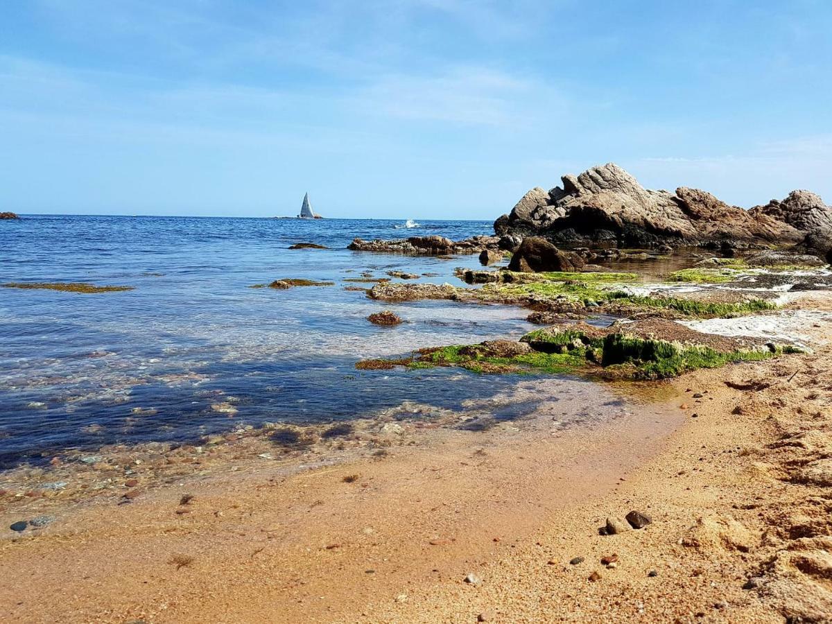 Palamos Apartament Superior Garoina 外观 照片
